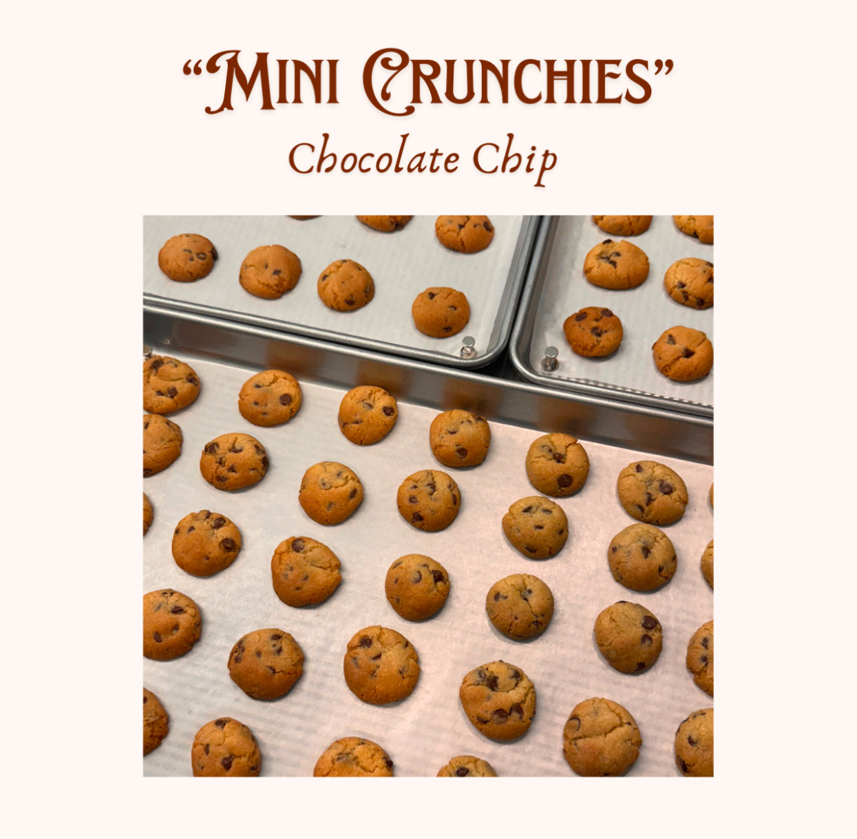 “Mini Crunchies” Chocolate Chip